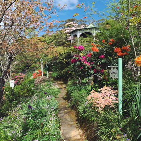 Gallery - Libra Garden In Spring